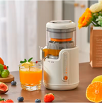 Automatic Fruit Juicer