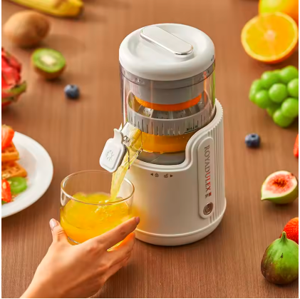 Automatic Fruit Juicer