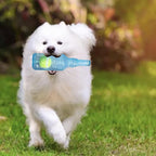 Interactive Dog Tennis Ball Bottle