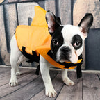 Pets Safety Swimming Suit