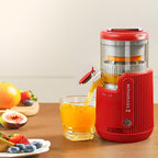 Automatic Fruit Juicer
