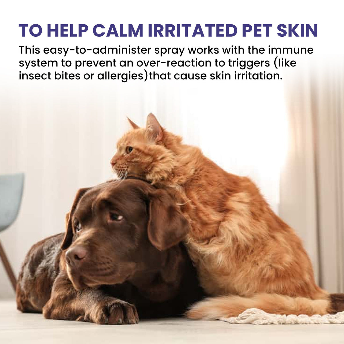 Pet Care Spray