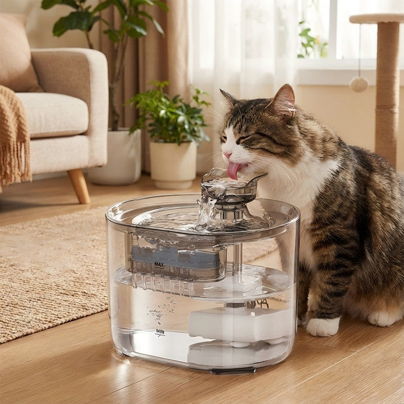 Automatic circulating water fountain for Pets, temperature-controlled