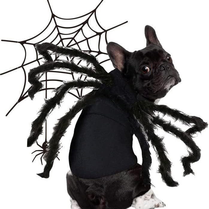 Cross-border Halloween glowing spider pet costume cosplay props cat and dog chest and back prank costumes